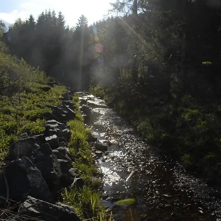 Blackcoms Erika - Adults Only