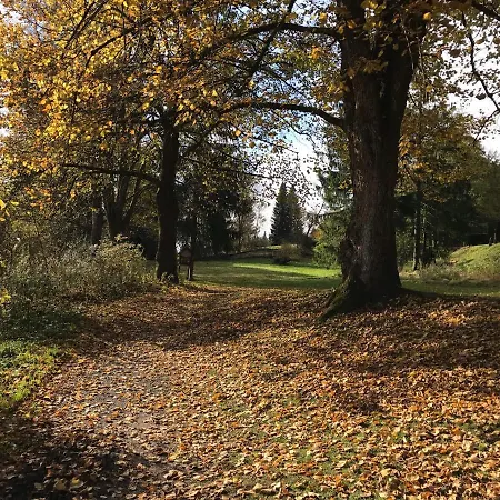 Hotel Blackcoms Erika - Adults Only Goslar