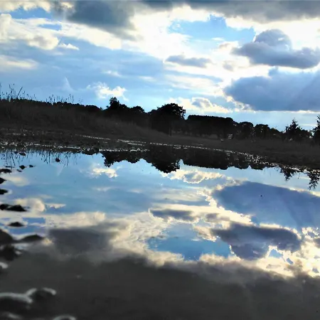 Blackcoms Erika - Adults Only Goslar