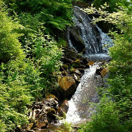 Hotel Blackcoms Erika - Adults Only Goslar