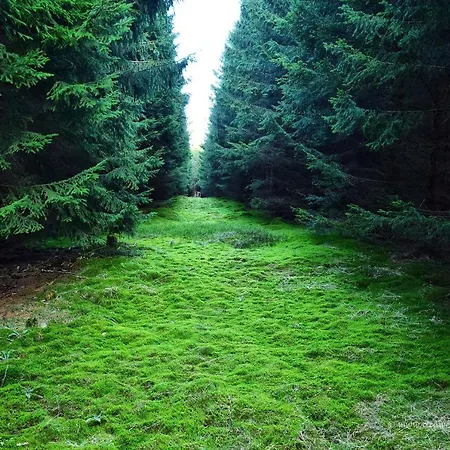 Hotel Blackcoms Erika - Adults Only Goslar