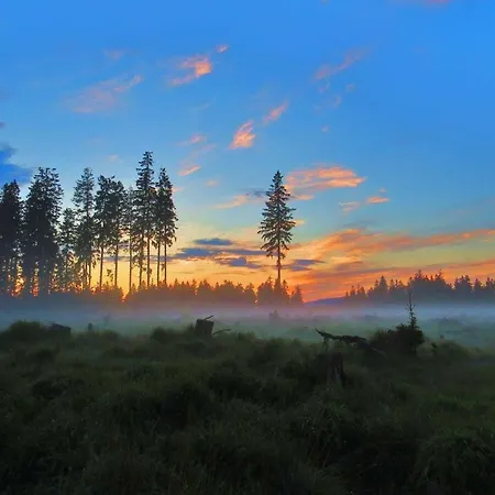 Blackcoms Erika - Adults Only