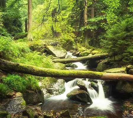 Blackcoms Erika - Adults Only Hotel Goslar