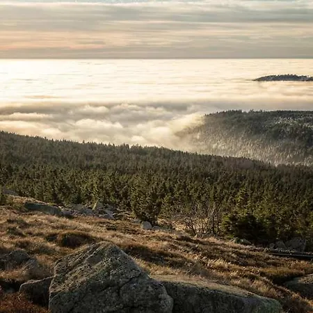 Hotel Blackcoms Erika - Adults Only