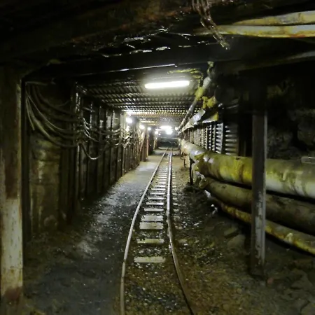 Blackcoms Erika - Adults Only Goslar