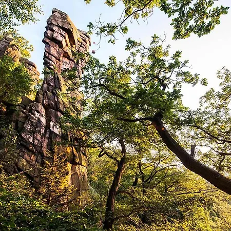 Blackcoms Erika - Adults Only 3* Goslar