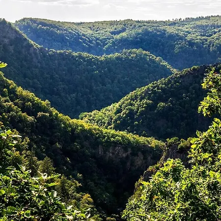 Hotel Blackcoms Erika - Adults Only