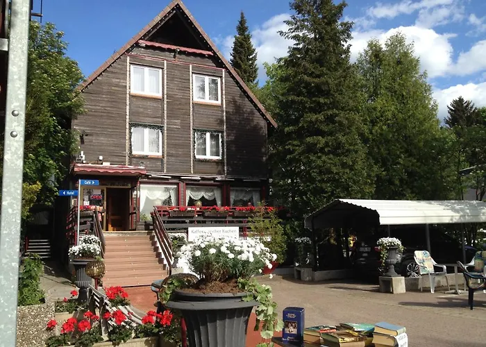 Blackcoms Erika - Adults Only 3*