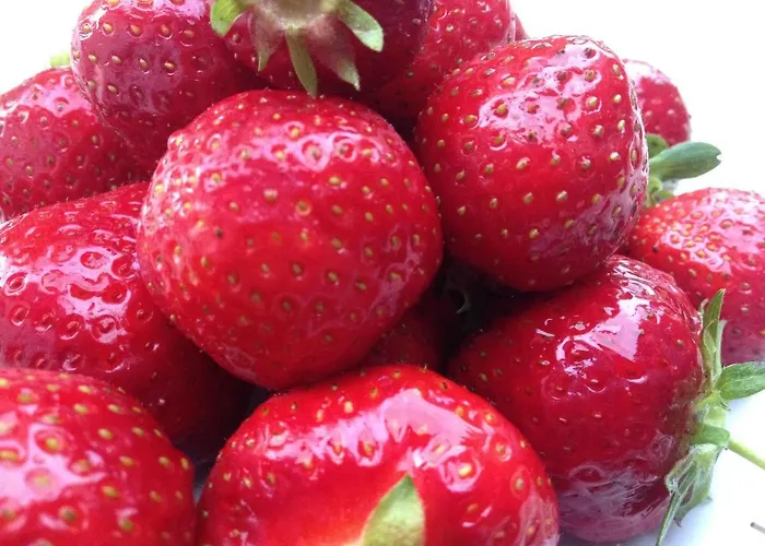 Hotel Blackcoms Erika - Adults Only Goslar