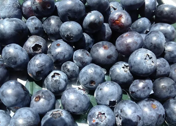 Blackcoms Erika - Adults Only Hotel