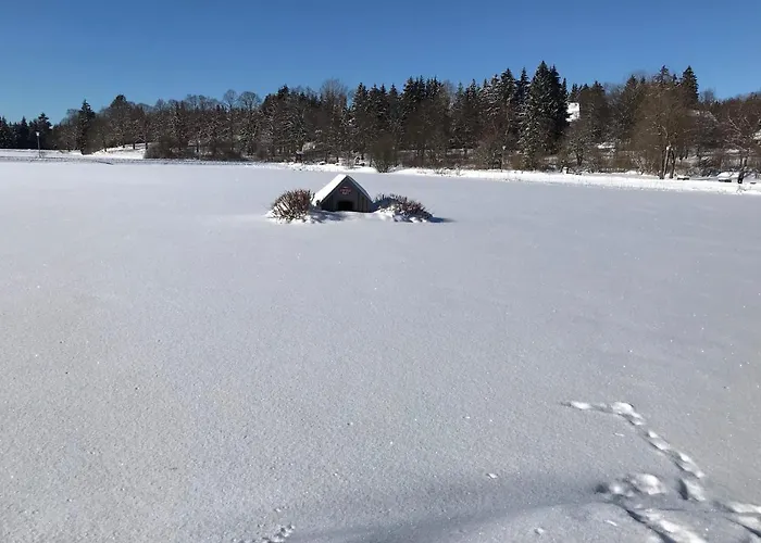 Hotel Blackcoms Erika - Adults Only 3*