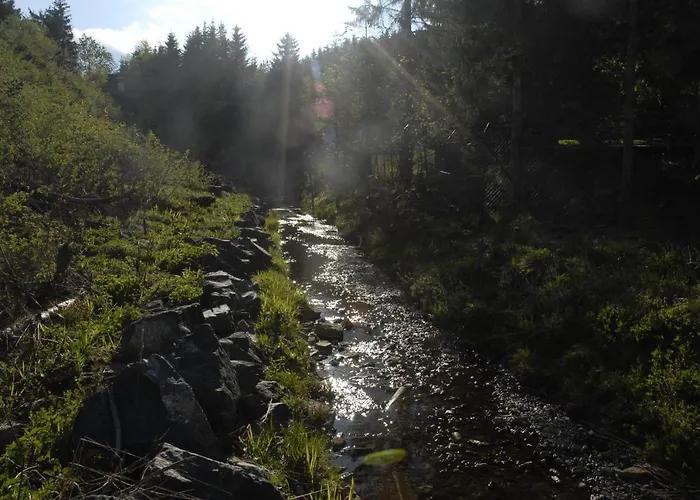 Blackcoms Erika - Adults Only