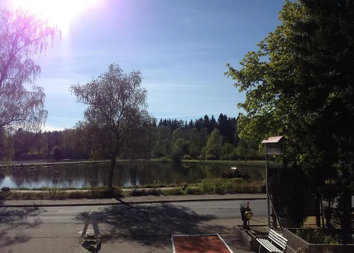 Blackcoms Erika - Adults Only 3*