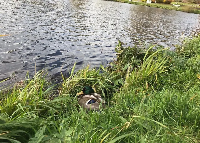 Hotel Blackcoms Erika - Adults Only 3*