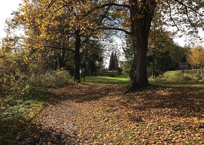 Hotel Blackcoms Erika - Adults Only Goslar