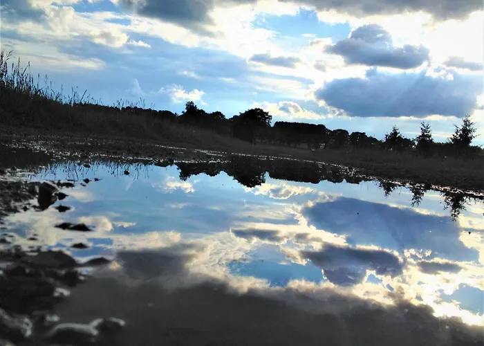 Blackcoms Erika - Adults Only Goslar