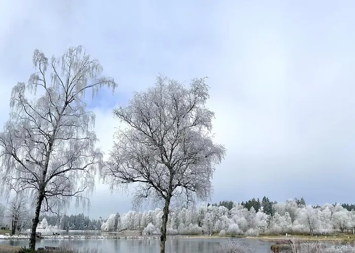 Blackcoms Erika - Adults Only Hotel