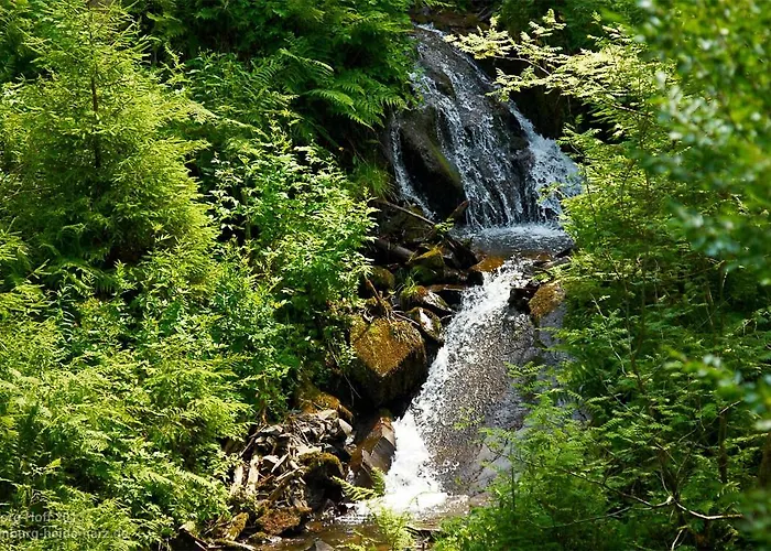 Hotel Blackcoms Erika - Adults Only Goslar