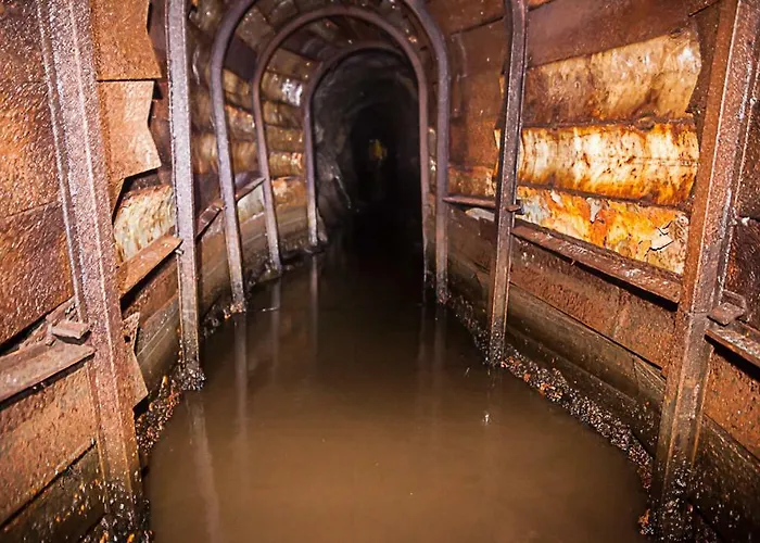 Hotel Blackcoms Erika - Adults Only Goslar