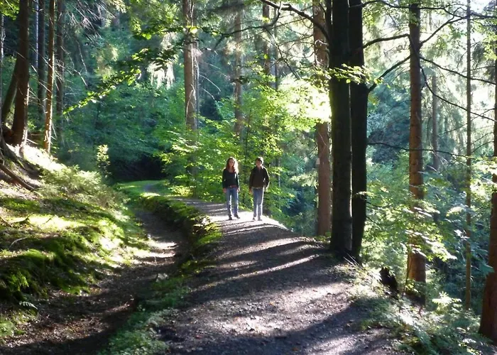 Blackcoms Erika - Adults Only Hotel Goslar