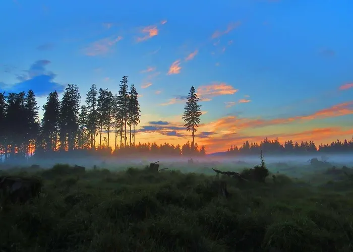 Blackcoms Erika - Adults Only