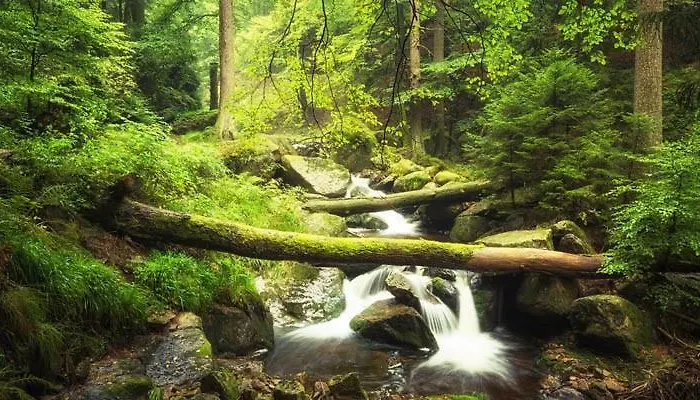 Blackcoms Erika - Adults Only Hotel Goslar