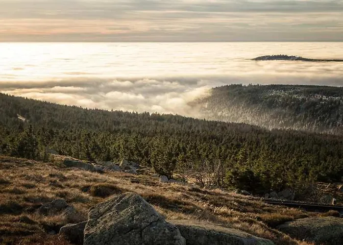 Hotel Blackcoms Erika - Adults Only