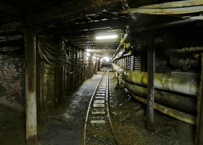 Blackcoms Erika - Adults Only Goslar