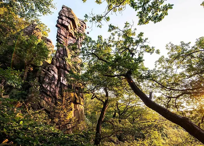 Blackcoms Erika - Adults Only 3* Goslar