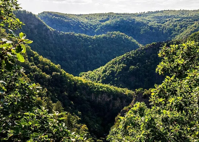 Hotel Blackcoms Erika - Adults Only